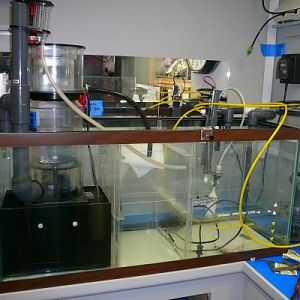 30G Sump in Basement