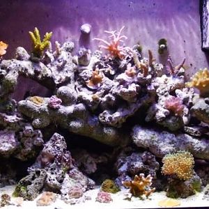 FTS 1/23/09