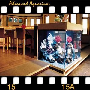 300 GL Salt - Limestone canopy