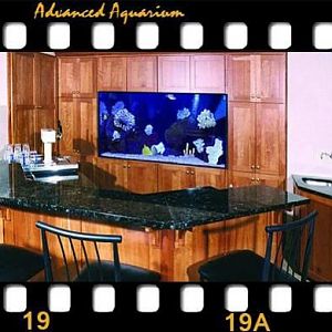 370 GL In Wall saltwater