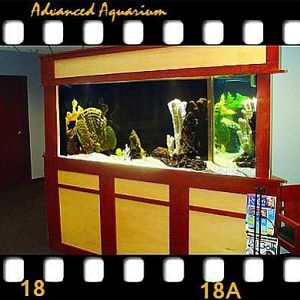 450 GL Trapazoid tank built for optical illusions on side panels (for an eye clinic)