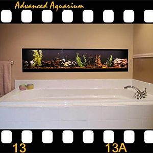 80 Gl Fresh in bathroom of my last house