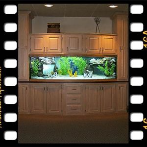 125 GL Bowfront with custom stand/canopy