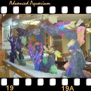 400 Gl Salt with Artificial reef insert