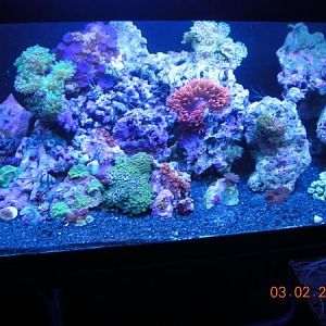 50g fts