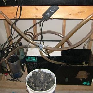 Sump area before clean out