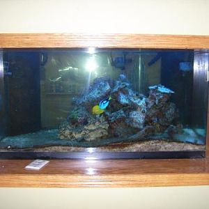 Front of Tank