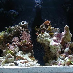 added some SPS from the frag swap