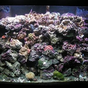 Decided to change my tank man is it different