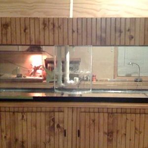 My new 125 hoping to get it going on Monday