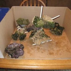 Rocks in a box