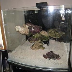 Rocks in a tank