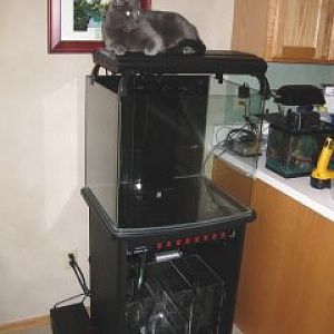 Tasha waiting for fish