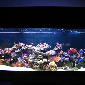 125 gal reef FTS