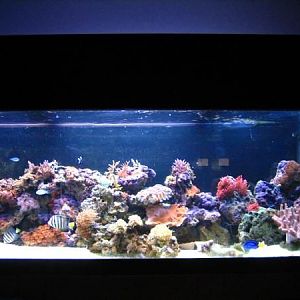 125 gal reef FTS