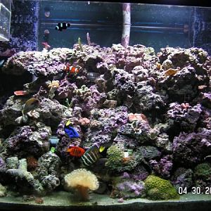 one month after re-aranging