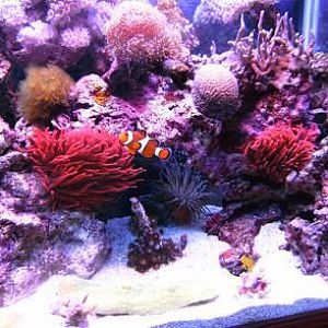 Experimenting with a new camera.  "Sea mode" gives an interesting effect.