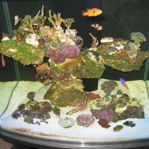 tank shot   lights off