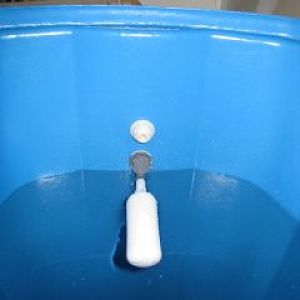 Float valve and overflow