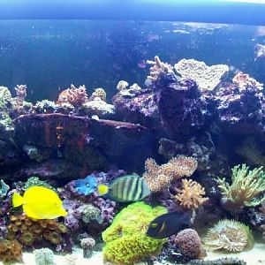 Pretty much how it looks today.