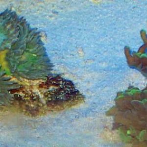 Tyler's Duncans and Hammer