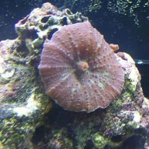 I need more hitch hikers like this one