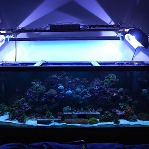 main tank