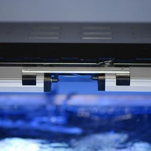 2 Powerbrite blue lights