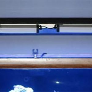 2 powerbrite fixtures are mounted on Tek 36"