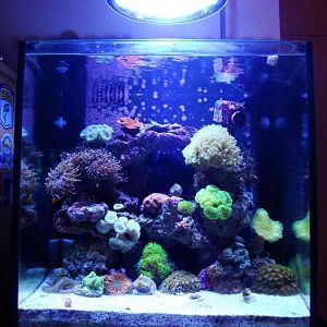 Full Tank Shot and Lighting