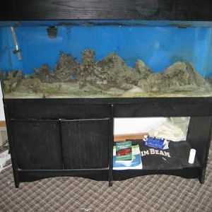 55 Gallon Tank I picked up at the end of May 2009