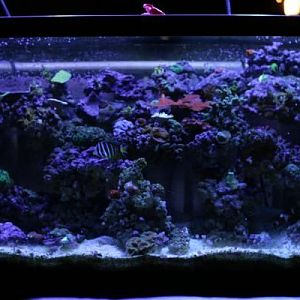 full on tankie goodness