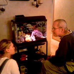 project seahorse fun