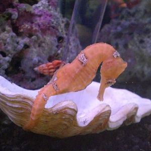 stormy in feeding station