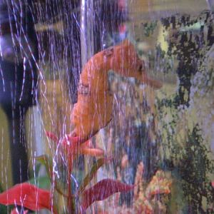 Stormy taking a bath 2