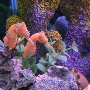 good morning stormy and bride