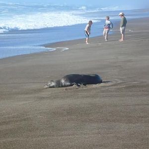 House guest while at Lincon City, OR.