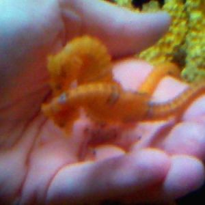 Stormy and Bride at breakfast