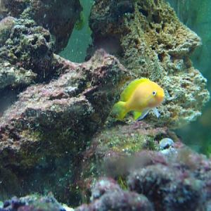 My daughter (Ella) took this