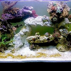 65 gallon front view