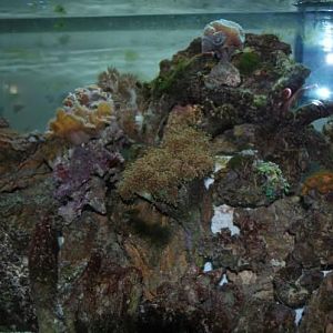 The bulk of the tank...