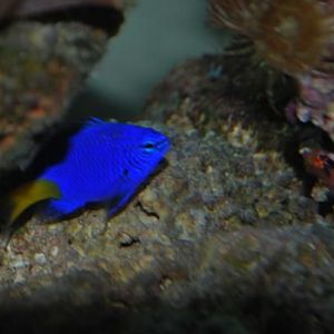 Chester is a bit camera shy.