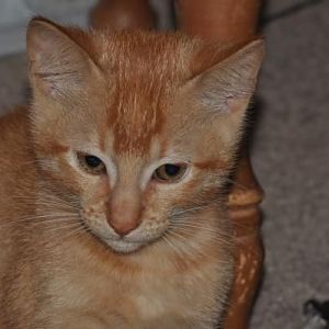 twins (Ron and Sedrick) $20 each