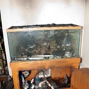 Notice the hole is the back of lower left corner of the tank.