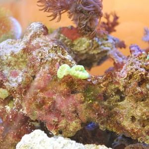 Playing with camera and flash options.