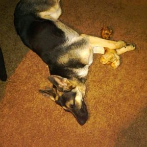 IMG00119 20091231 2241