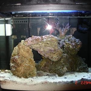 Tank before new additions