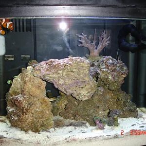 Tank after new additions