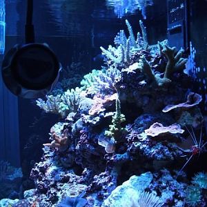 RSM Right Side 7/2009