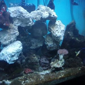 P1270391 new rock set up